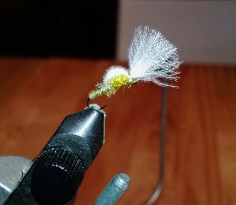 Chironomo-Emergente-by-Simo