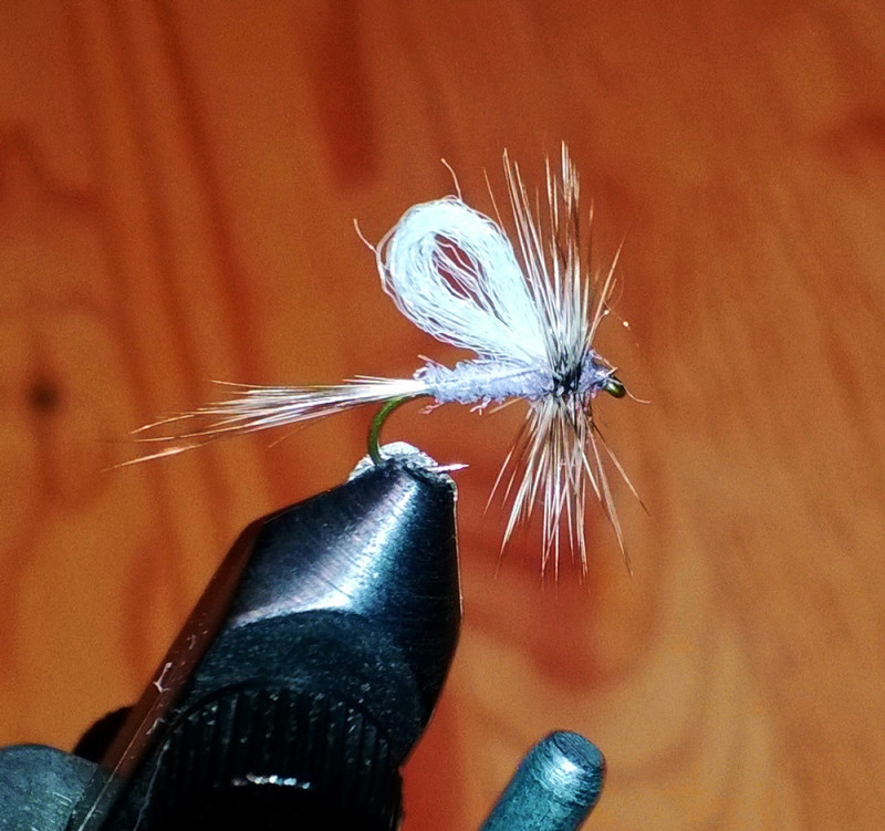 Blu-Dun-Adams-By-Simo