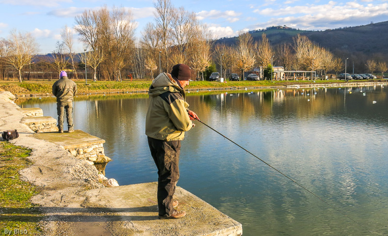 Flavio MAGILLA BASS alla SAPABA Casalecchio di Reno