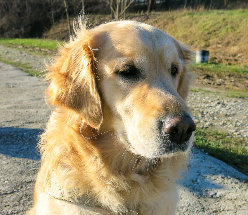 Sally al Lago Sapaba a Casalecchio di Reno