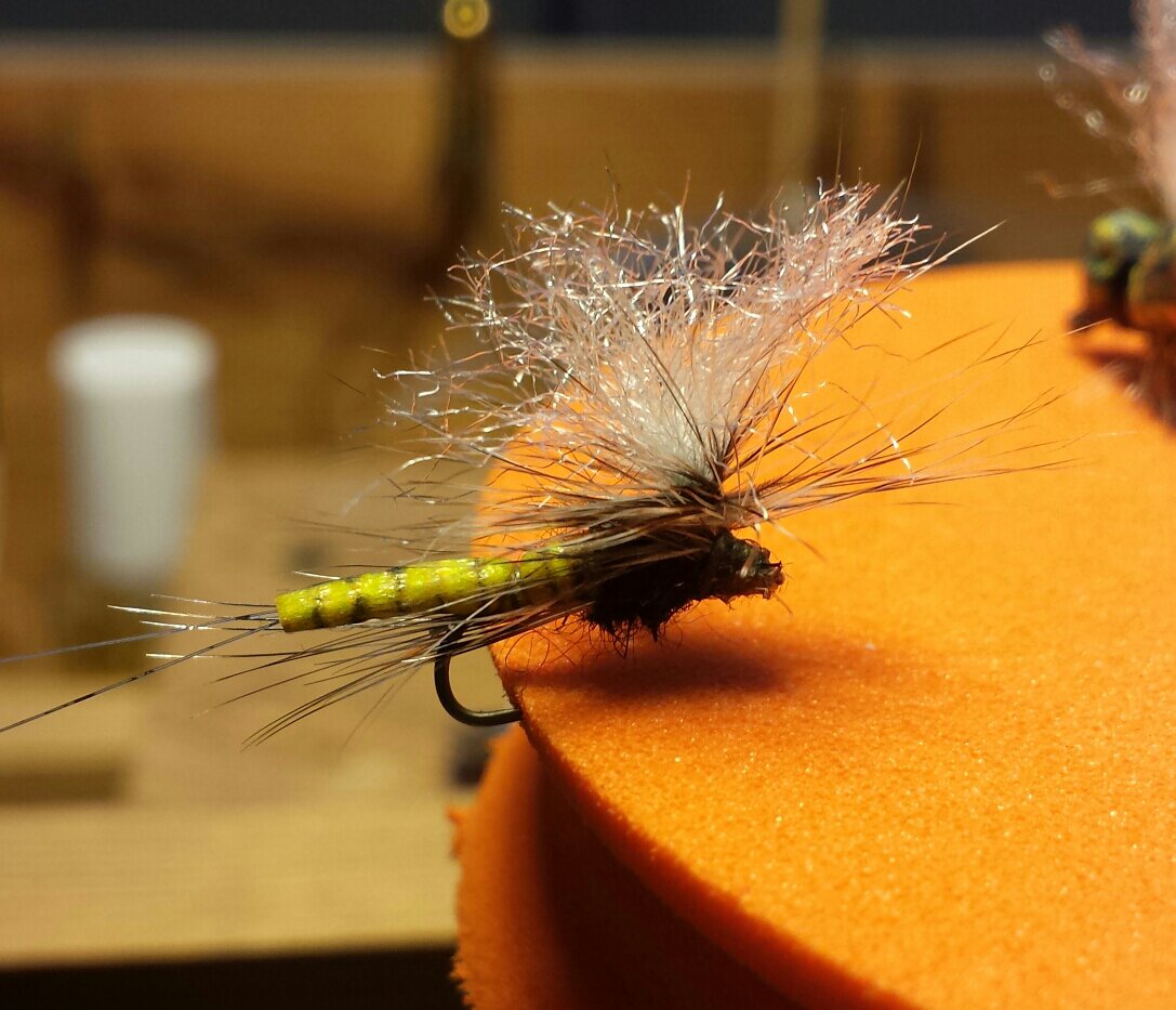 MayFly (mosca di Maggio) Ephemeroptera by Biso MayFly by Biso