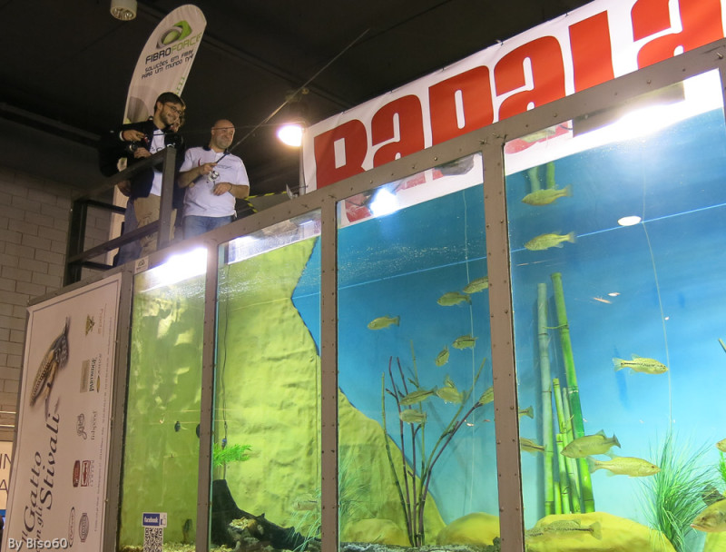 A Vicenza Vasca Bass per Prove di Soft Bait - IoPescoPositivo.it