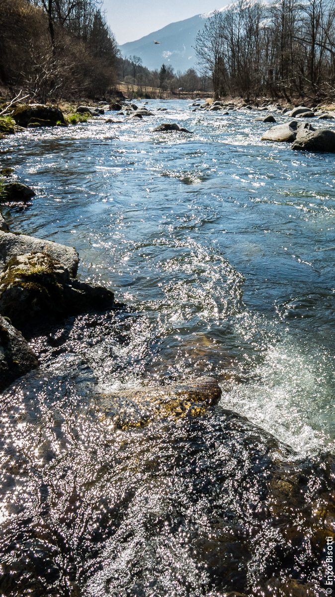Il Sarca a Spiazzo per IOPESCOPOSITIVO.it