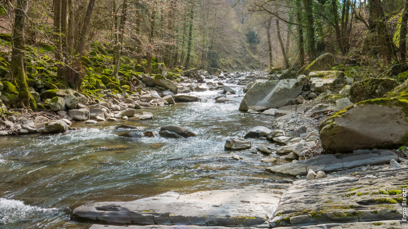 Pesca mosca sul Limentra con Simone ed Enzo, per www.iopescopositivo.it