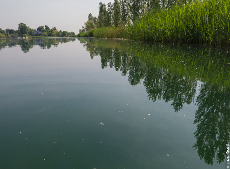 In Belly al Verginese per iopescopositivo.it