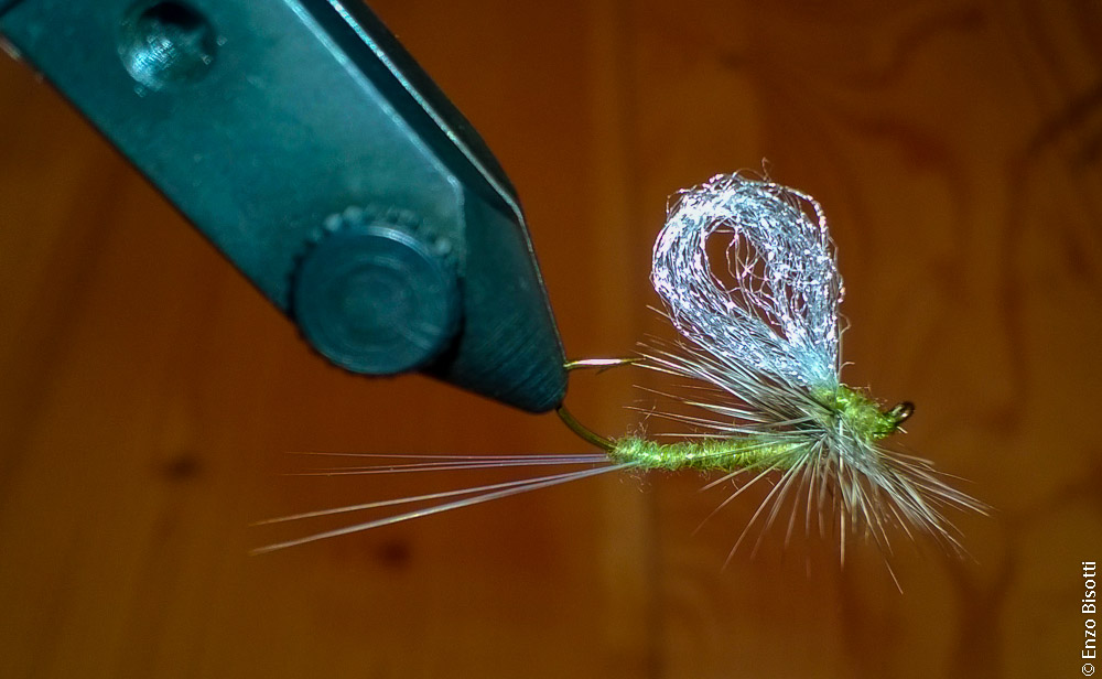 Simone e la sua micidiale, per iopescopositivo.it