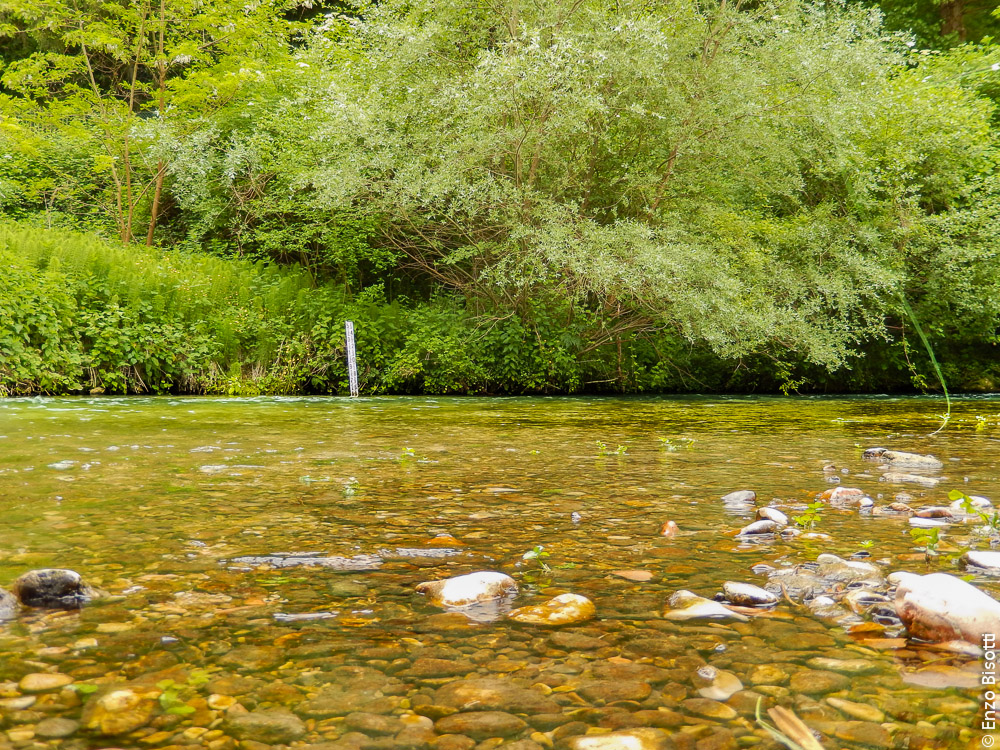 Simone sul Nera1, per iopescopositivo.it