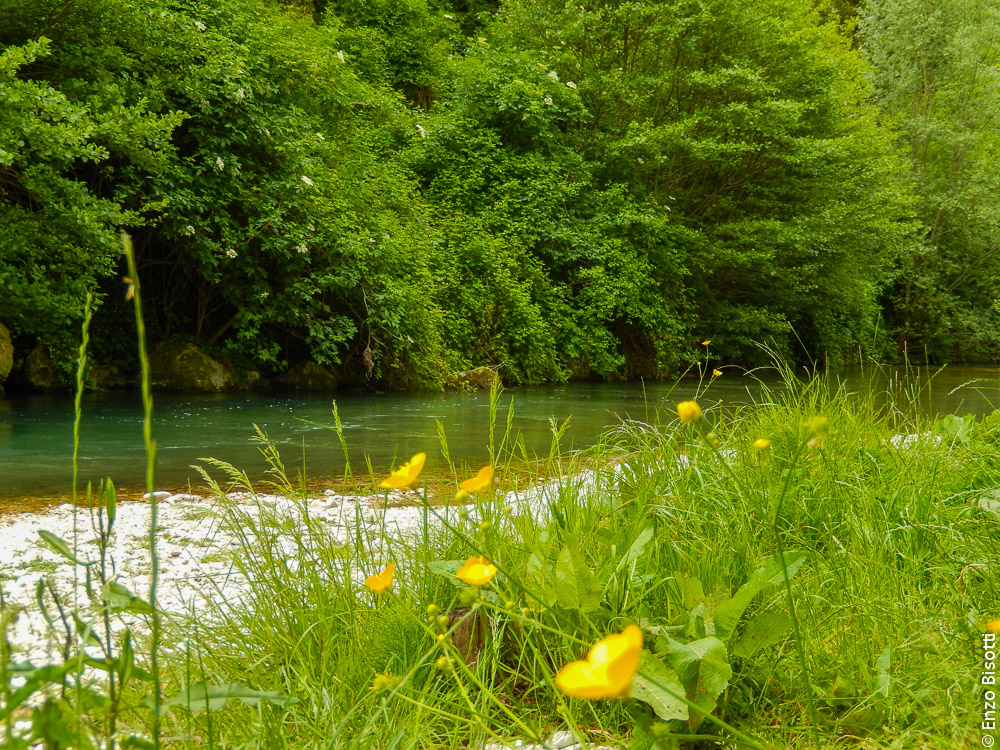 Simone sul Nera14, per iopescopositivo.it