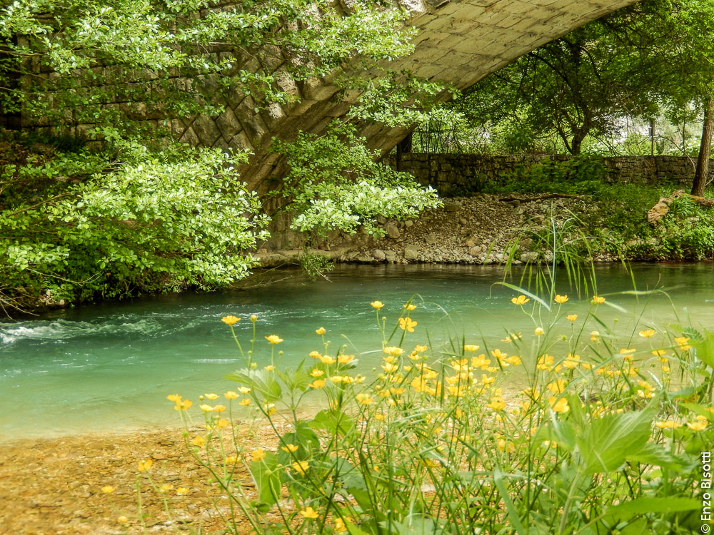 Simone sul Nera4, per iopescopositivo.it