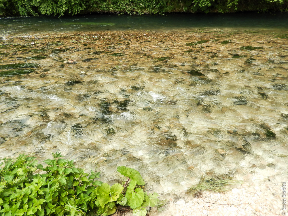 Simone sul Nera6, per iopescopositivo.it