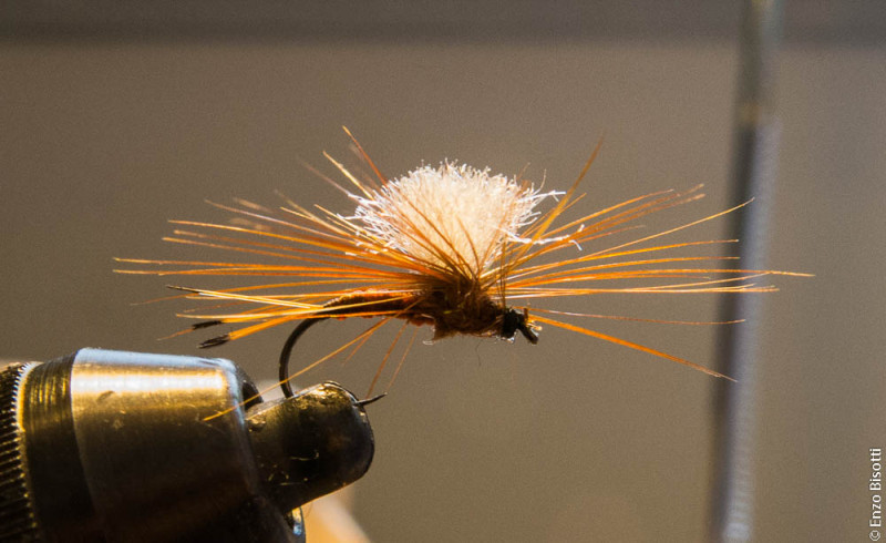 Effimera in Spanflex per iopescopositivo.it