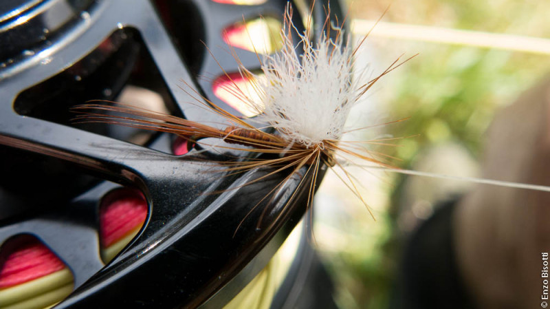 The Fly di Simone Pezzi a Preore per IoPescoPositivo.it