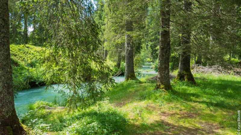 Val Nambrone per IoPescoPositivo.it