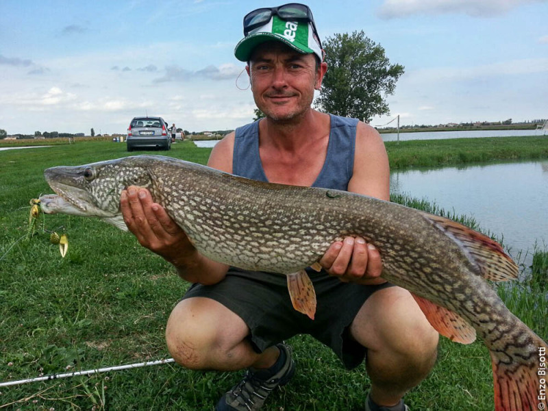 Luccio OVER di Gastone Neri, per IoPescoPositivo.it