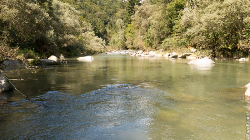 Ponte Arche Enzo Bisotti per IoPescoPositivo.it