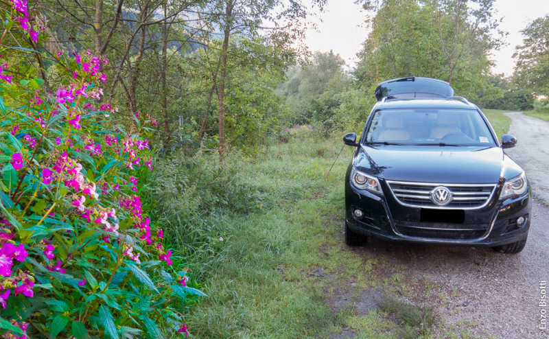 R1 Regorie 0 Enzo Bisotti per IoPescoPositivo.it