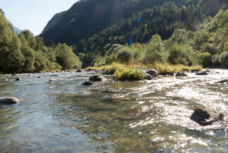 R1 Regorie 1 Enzo Bisotti per IoPescoPositivo.it