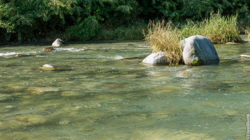 R1 Regorie 2 Enzo Bisotti per IoPescoPositivo.it