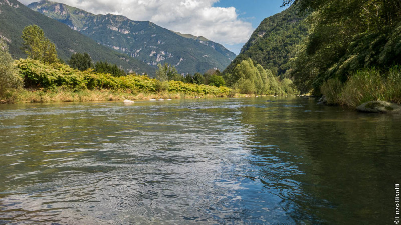 R1 Regorie 3 Enzo Bisotti per IoPescoPositivo.it