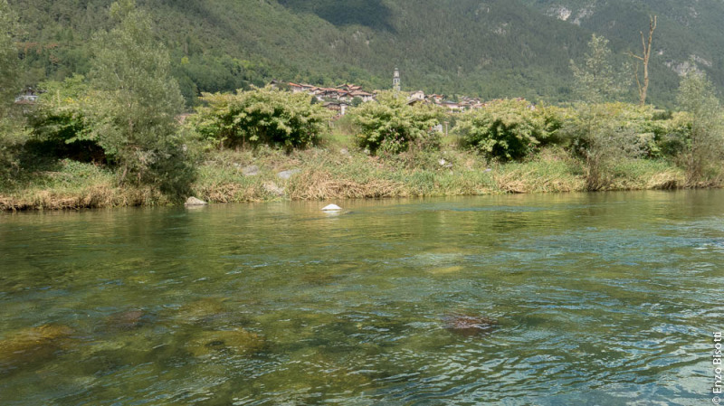 R1 Regorie 5 Enzo Bisotti per IoPescoPositivo.it