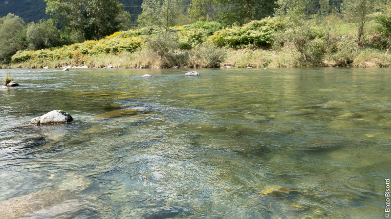 R1 Regorie 6 Enzo Bisotti per IoPescoPositivo.it