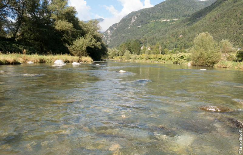 R1 Regorie Enzo Bisotti per IoPescoPositivo.it