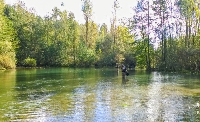Enzo Bisotti - Tail Water TEVERE, per iopescopositivo.it