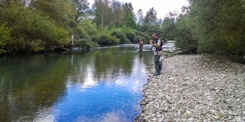 Enzo & Mirko - Tail Water TEVERE, per iopescopositivo.it