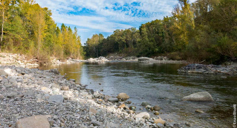 Pesca a mosca In RENO, per iopescopositivo.it