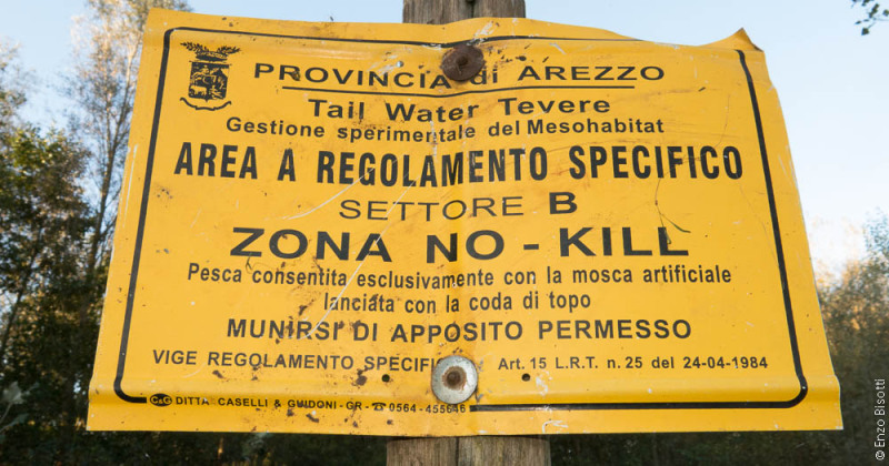 Settore B NO KILL - Tail Water TEVERE, per iopescopositivo.it