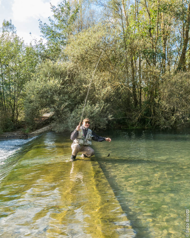 Simone Pezzi 2 - Tail Water TEVERE, per iopescopositivo.it