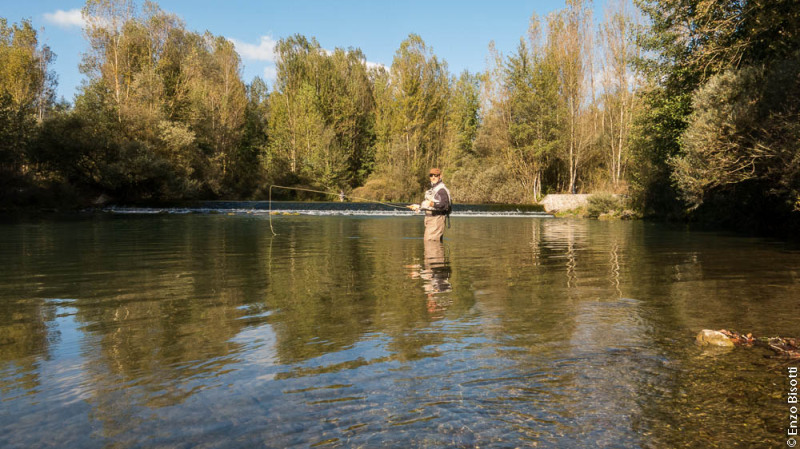 Simone Pezzi - Tail Water TEVERE, per iopescopositivo.it