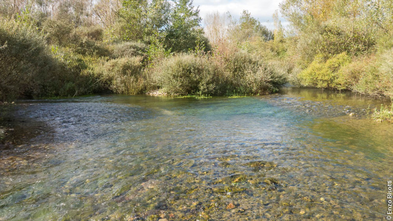 - Tail Water1 TEVERE, per iopescopositivo.it