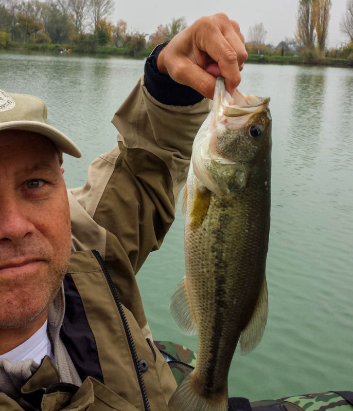 Enzo Bisotti - Rosario2014 BASS