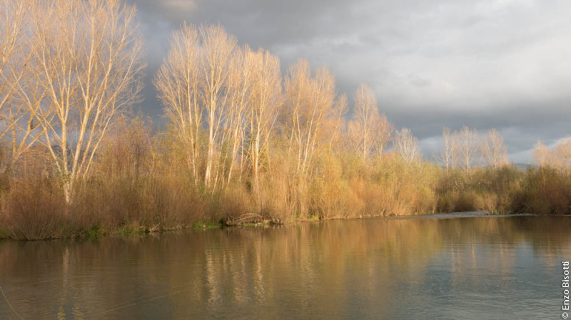 Per iopescopositivo.it-5