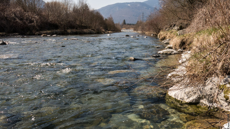 SARCA2015 - Per IOPESCOPOSITIVO.IT