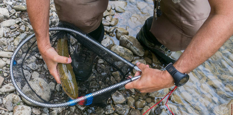 Enzo Bisotti Tw Sieve Maggio 2015