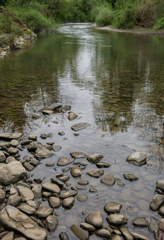 TW SIEVE, Maggio 2015