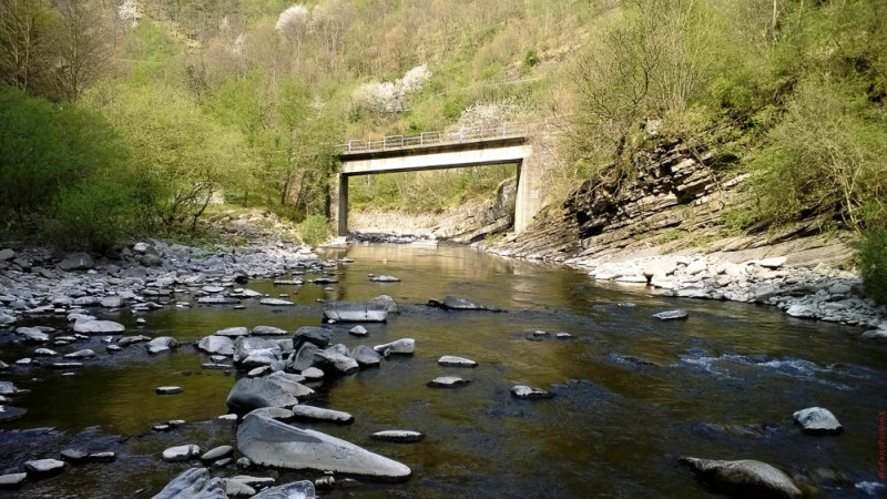 A Mosca sull'Alto Reno - IOPESCOPOSITIVO.it