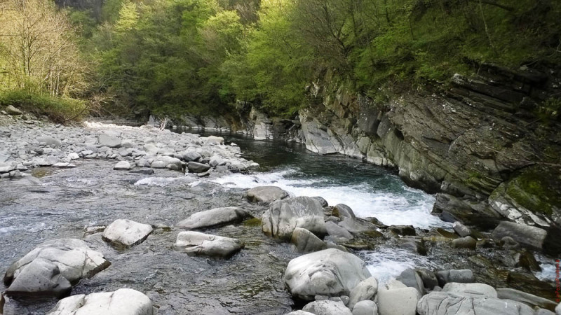 A Mosca sull'Alto Reno - IOPESCOPOSITIVO.it