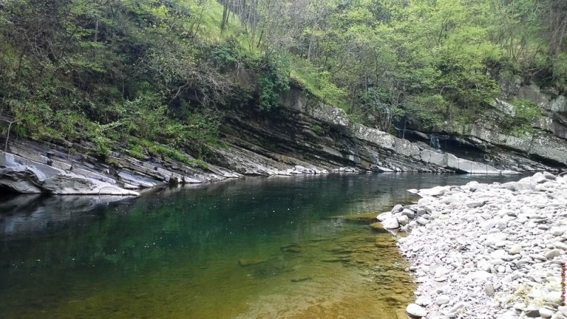 A Mosca sull'Alto Reno - IOPESCOPOSITIVO.it