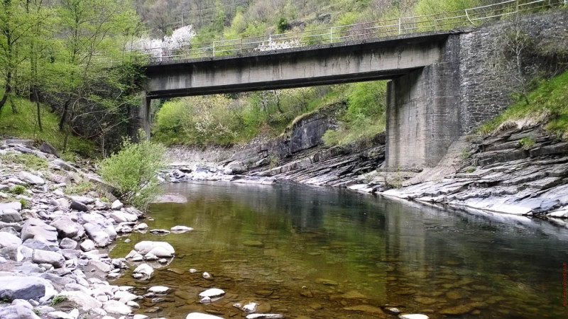 A Mosca sull'Alto Reno - IOPESCOPOSITIVO.it