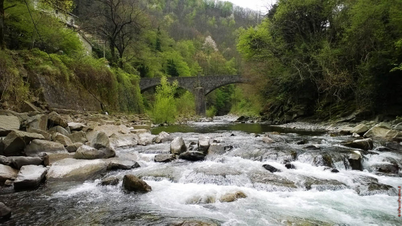 A Mosca sull'Alto Reno - IOPESCOPOSITIVO.it