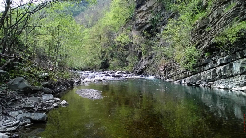 A Mosca sull'Alto Reno - IOPESCOPOSITIVO.it