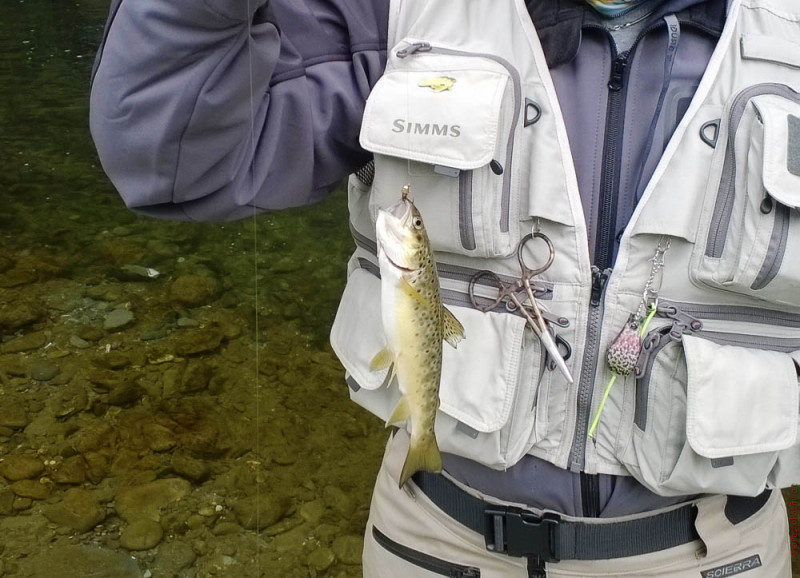 A Mosca sull'Alto Reno - IOPESCOPOSITIVO.it