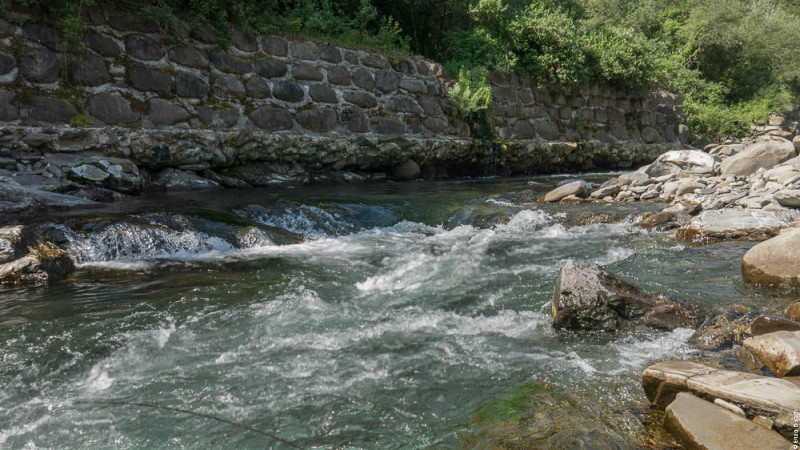 Torrente LEO - per IOPESCOPOSITIVO.it
