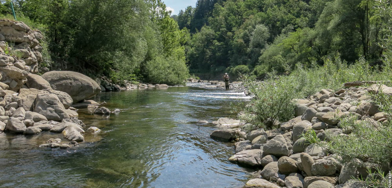 Torrente LEO - per IOPESCOPOSITIVO.it