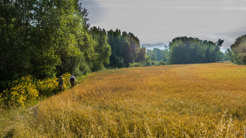 Rive della TWT a Barra 18, per iopescopositivo.it