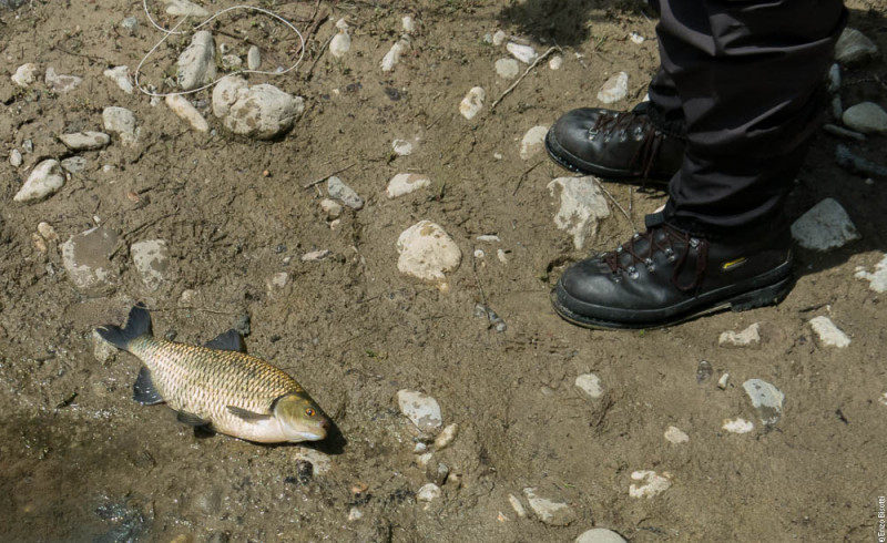 Mirko Balboni nella CAVA in TWT