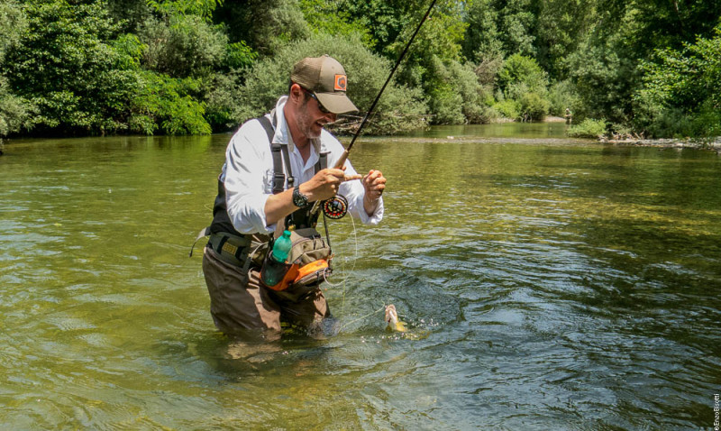 TwT Tevere 13 Giugno 2015,  per IOPESCOPOSITIVO.it  Simone Pezzi